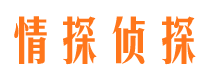 大石桥侦探